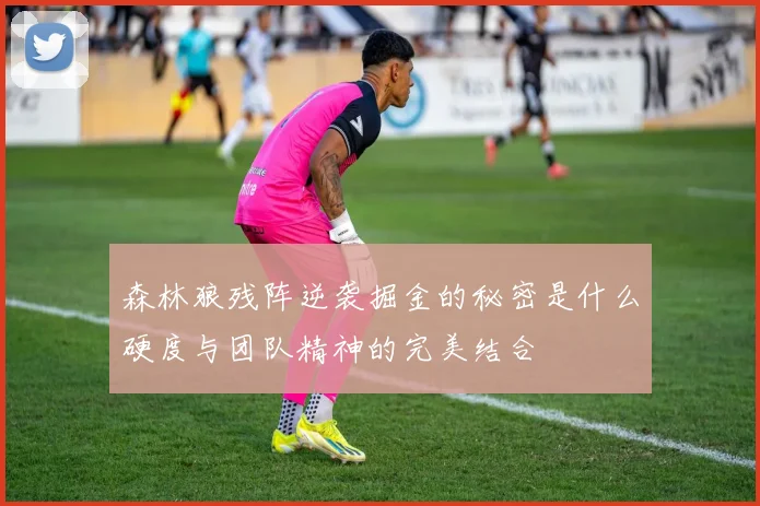 森林狼残阵逆袭掘金的秘密是什么硬度与团队精神的完美结合
